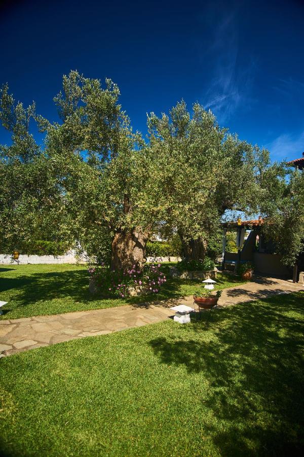 Villa The Cosy Olive Ormos Panagias Exterior foto